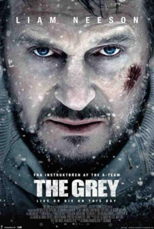 The Grey